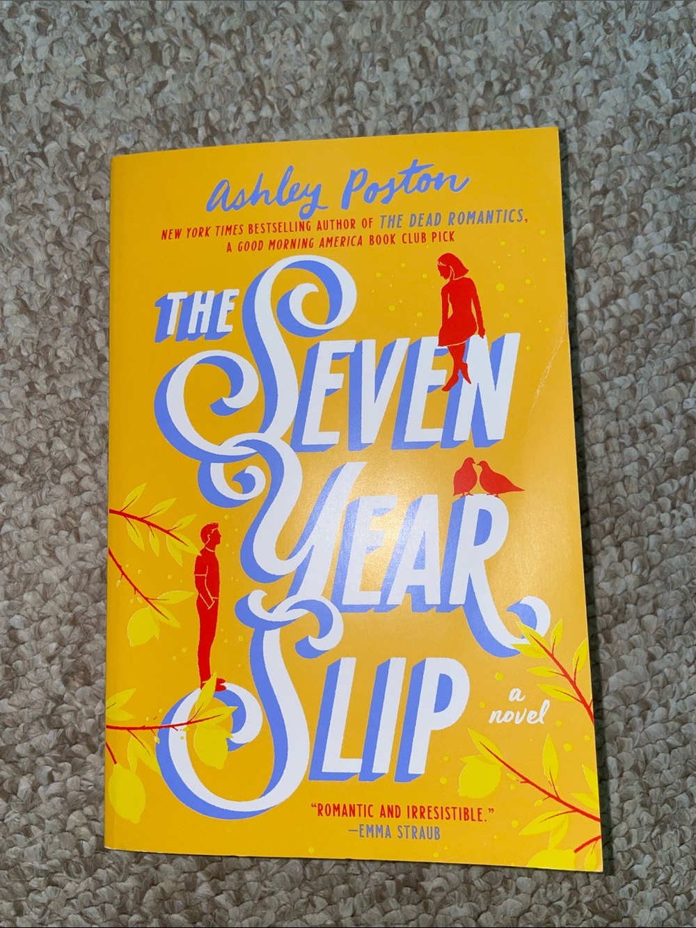 The Seven Year Slip by Ashley Poston